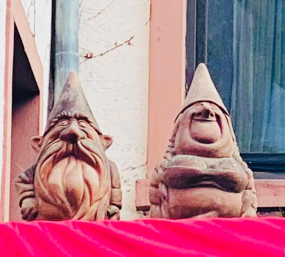 Vorschau: Unser Sommergarten